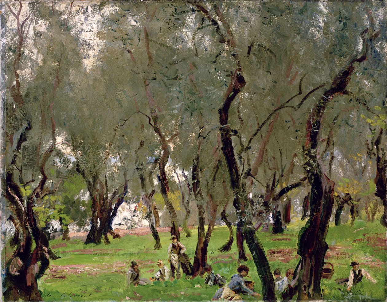 The Olive Grove, 1910 körül (olaj, vászon) alkotó: John Singer Sargent