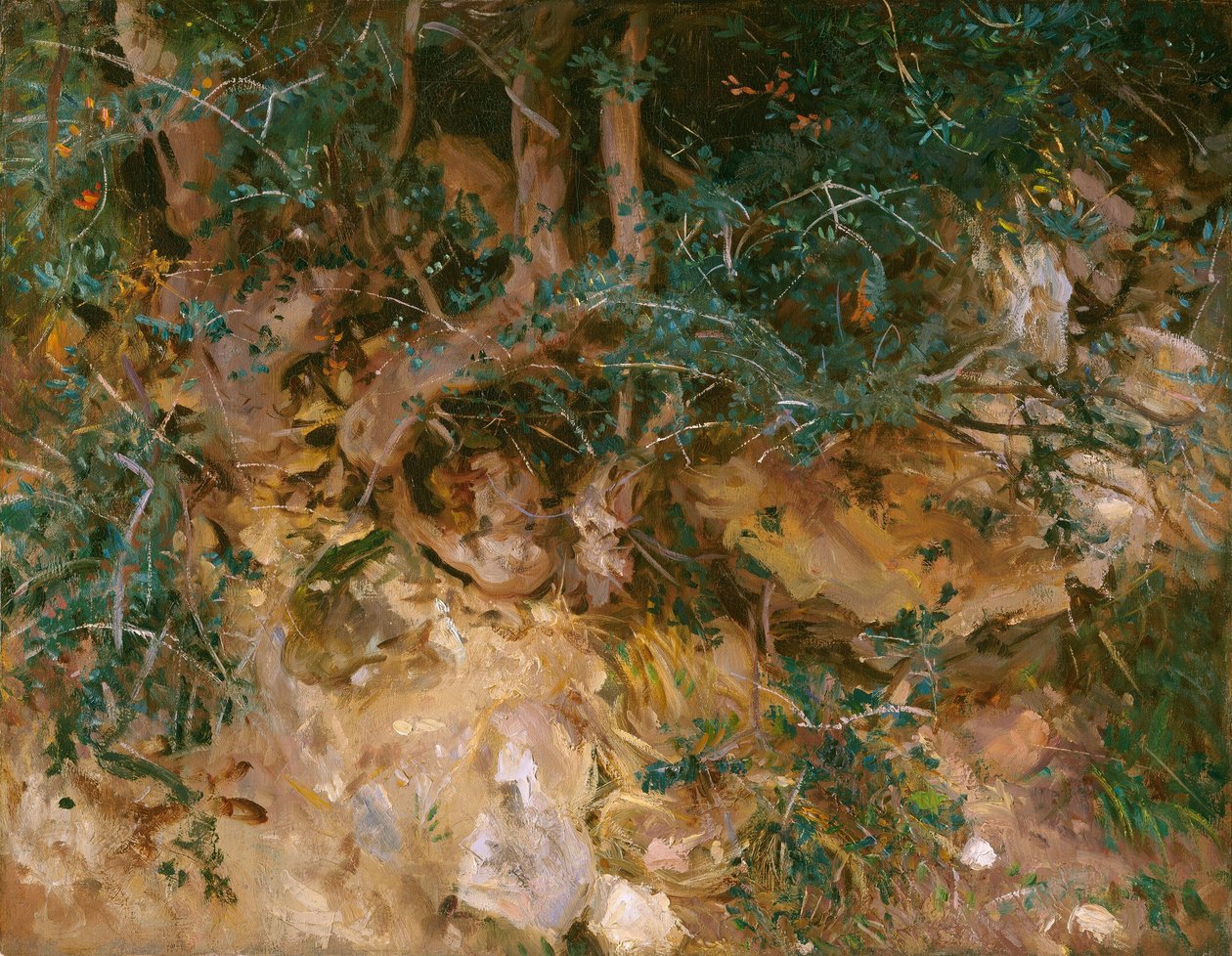 Valdemosa, Mallorca: Bogáncs és fű egy domboldalon, 1908. alkotó: John Singer Sargent