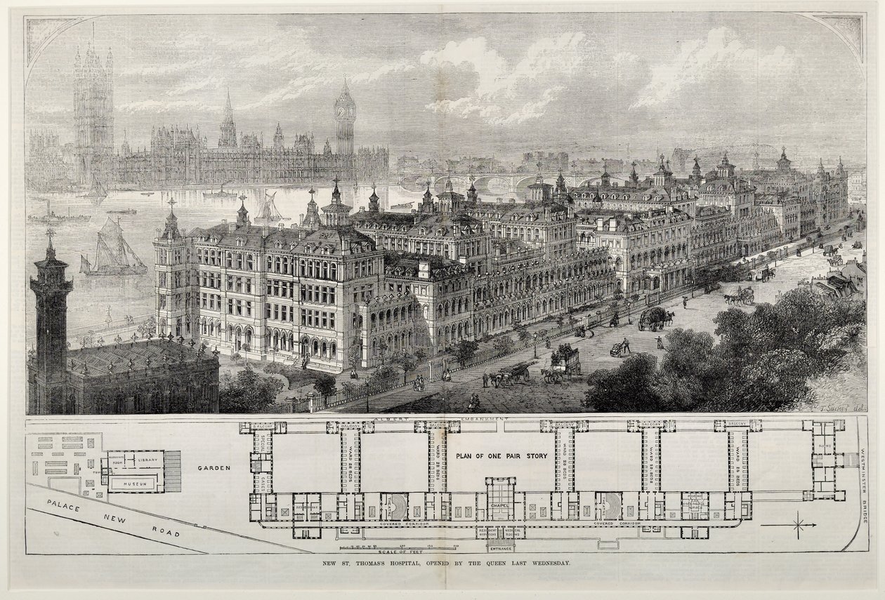 Új Szent Tamás Kórház, amelyet a királynő nyitott meg múlt szerdán, 1871-ben (acélmetszet) alkotó: John Sulman