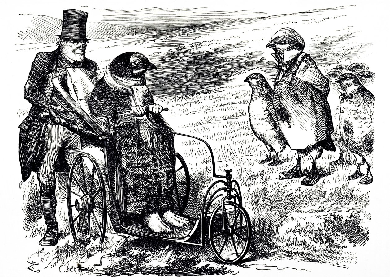 Egy rajzfilm, amely a Grouse Shooting felfüggesztését kommentálja, hogy lehetővé tegye az állomány újjáépítését. Illusztrálta: John Tenniel (1820-1914) angol illusztrátor, grafikus humorista és politikai karikaturista alkotó: John Tenniel