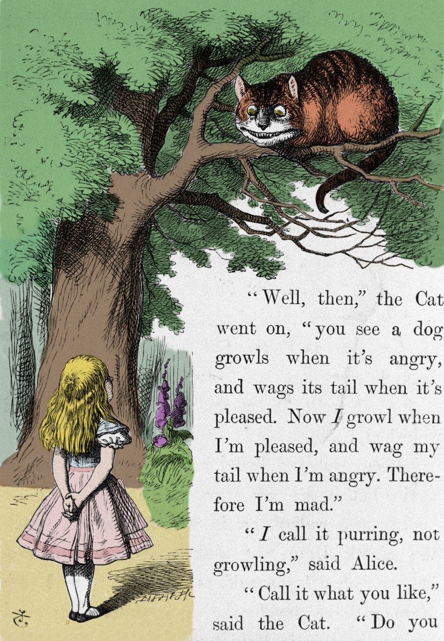 Alice és a macska, Sir John Tenniel illusztrációja Lewis Carroll (Charles Lutwidge Dodgson) angol író Alice Csodaországban című művének első kiadásához (1832-1898). alkotó: John Tenniel