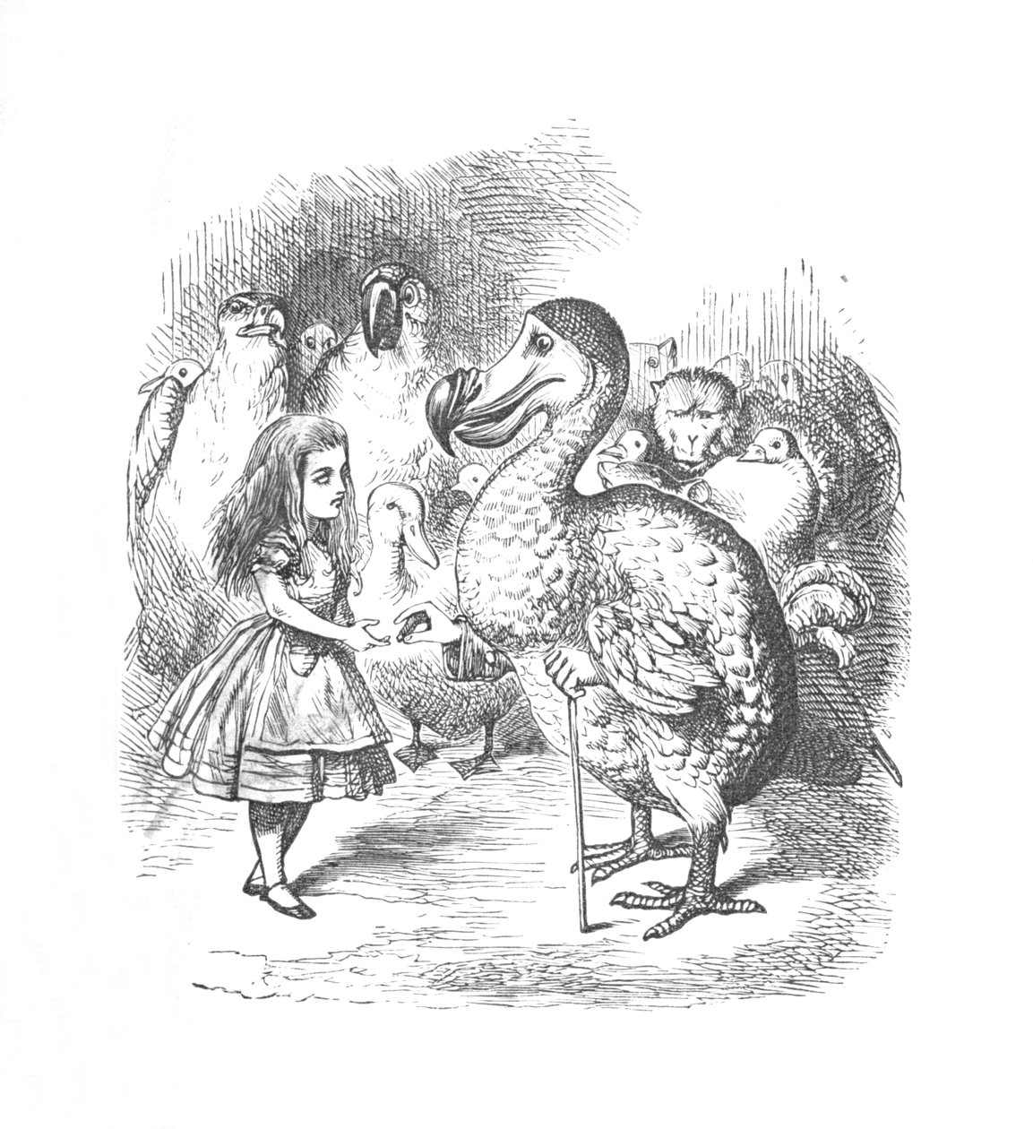 Alice és a Dodo, 1889 alkotó: John Tenniel