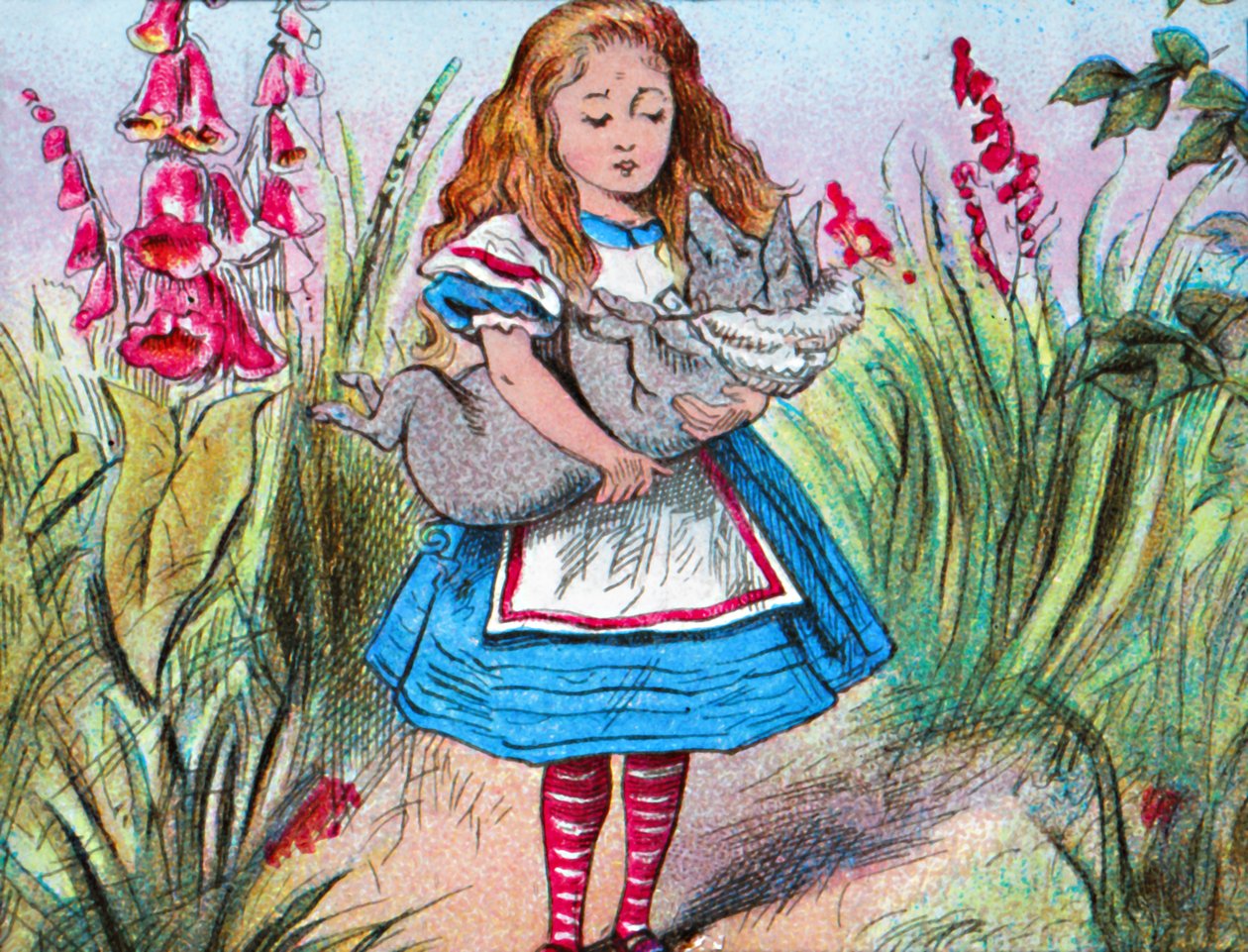 Alice disznót tart a karjában., 1910. alkotó: John Tenniel