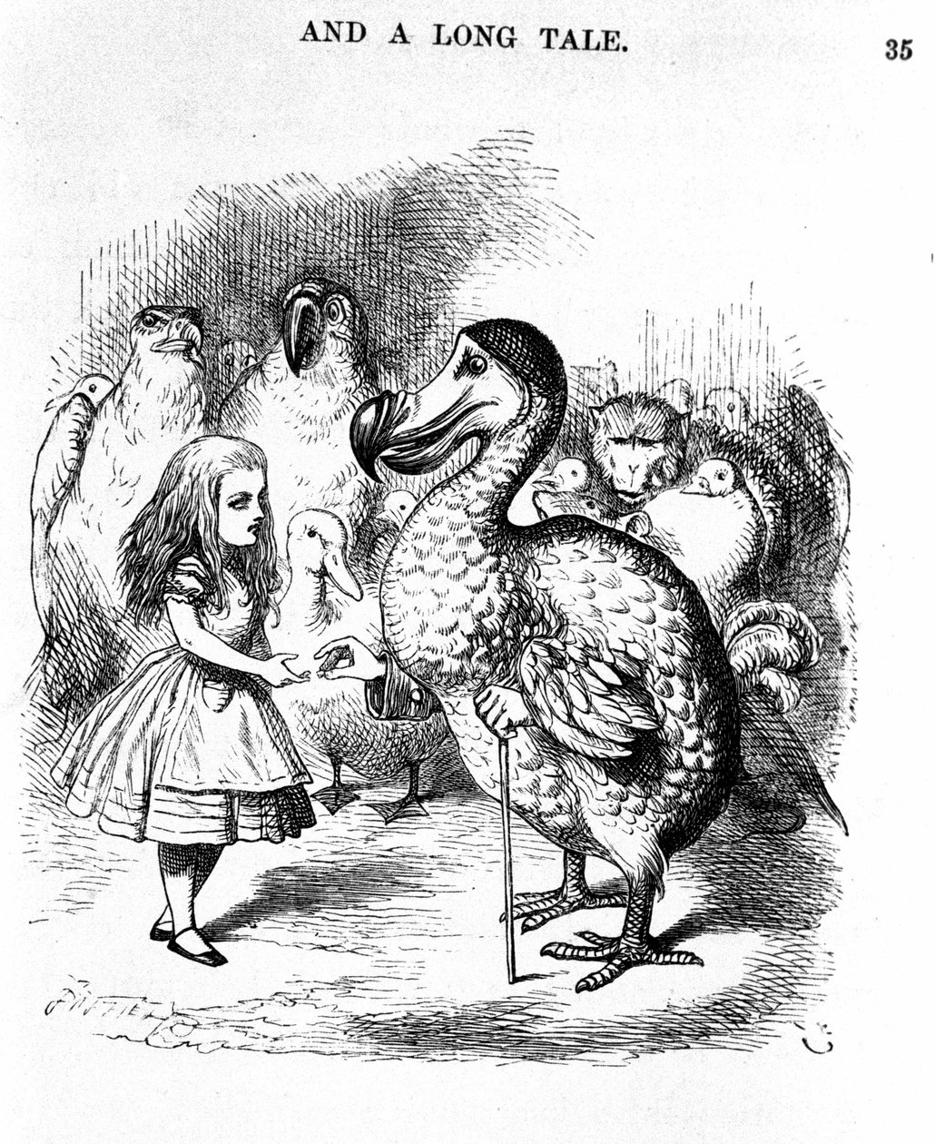 Alice Csodaországban: Találkozás Alice-zel egy dodóval, Lewis Carroll, az első kiadás illusztrációja Tennieltől alkotó: John Tenniel