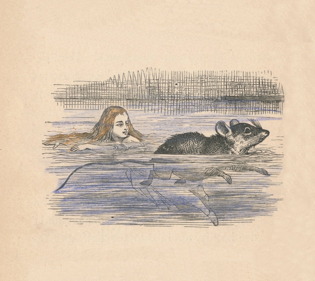 Alice egérrel úszik a medencében, 1889 alkotó: John Tenniel