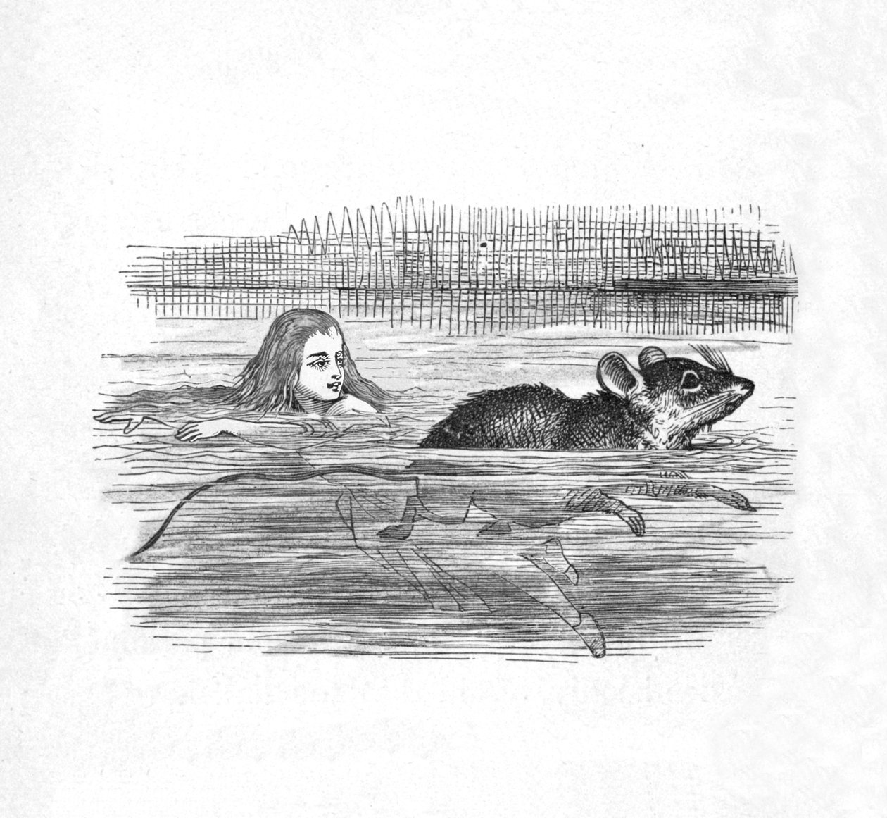 Alice egérrel úszik a medencében, 1889 alkotó: John Tenniel