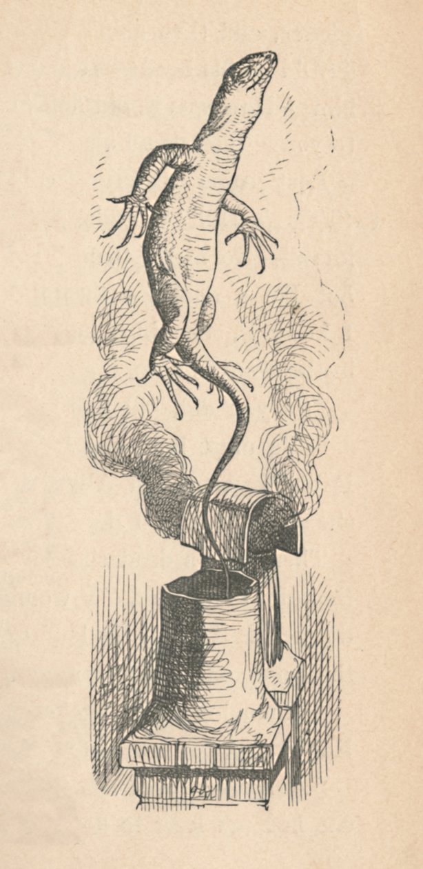 A gyík, 1889 alkotó: John Tenniel