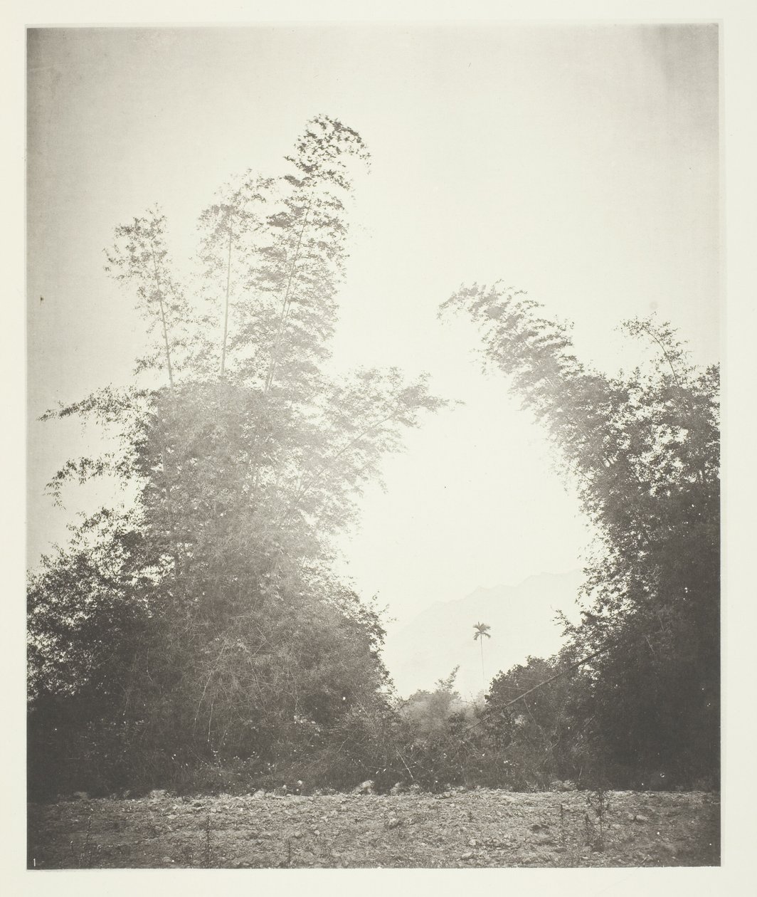 Bambusz annyi doboz, farm alkotó: John Thomson