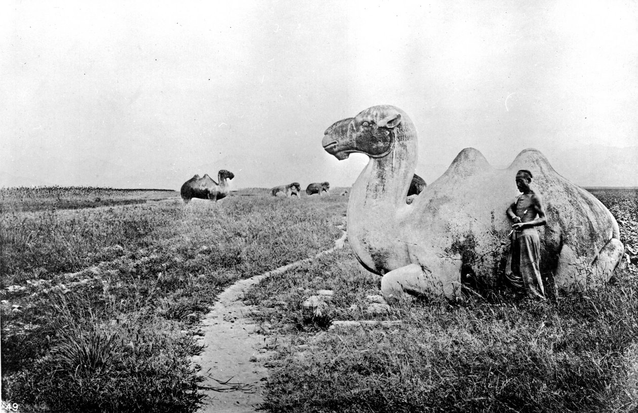 Kína, a császári út faragott tevei, 1870 körül (fotó) alkotó: John Thomson