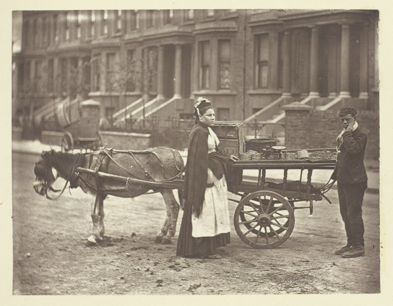 Eper. Minden érett! Minden érett!, 1881. alkotó: John Thomson