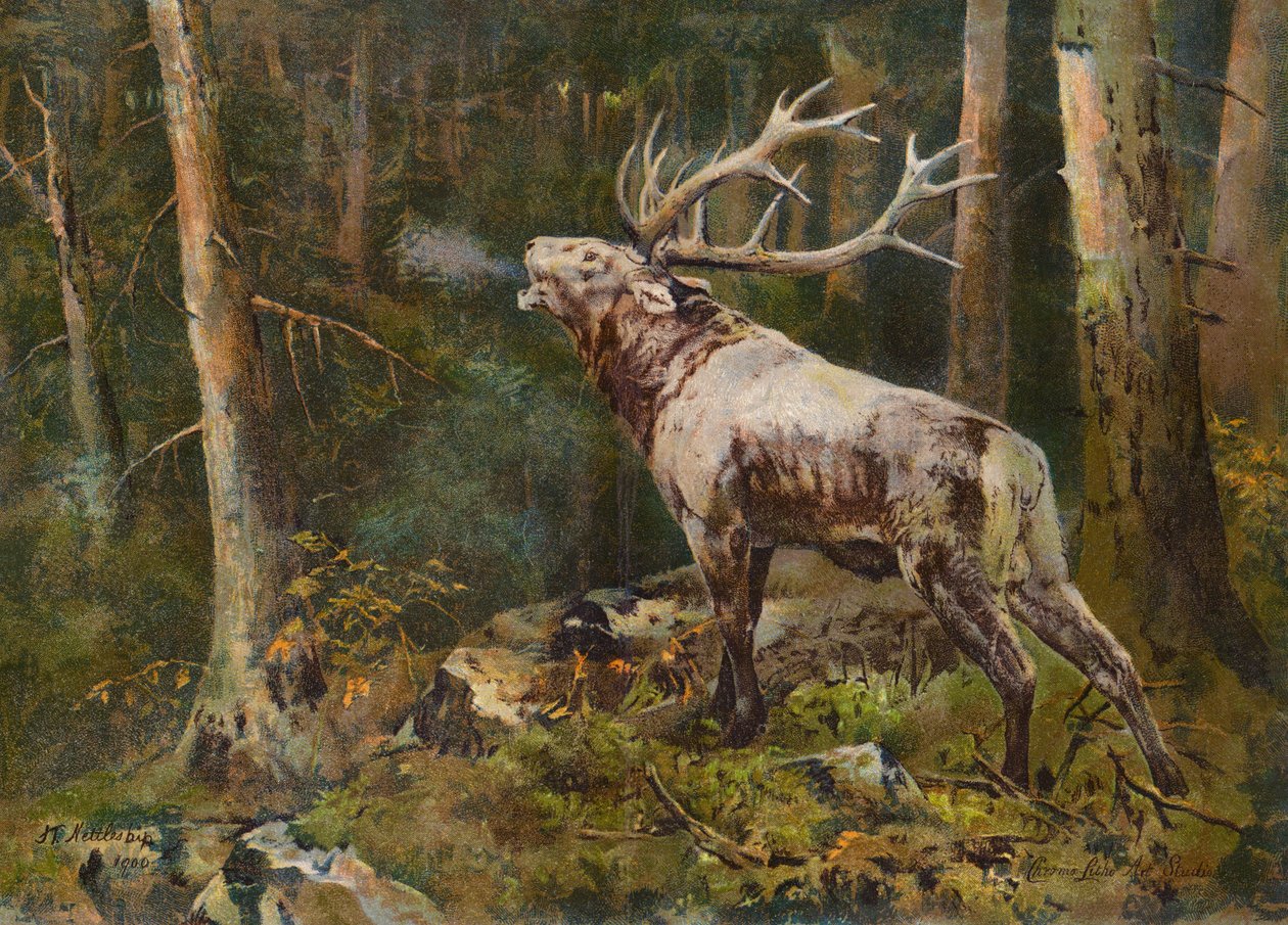  alkotó: John Trivett Nettleship