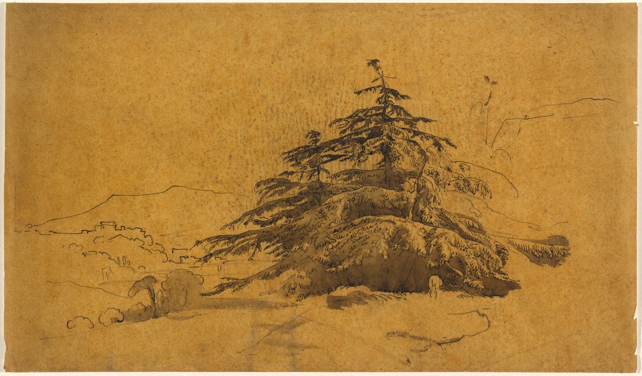 Studie von Bäumen in einer Landschaft alkotó: John Varley