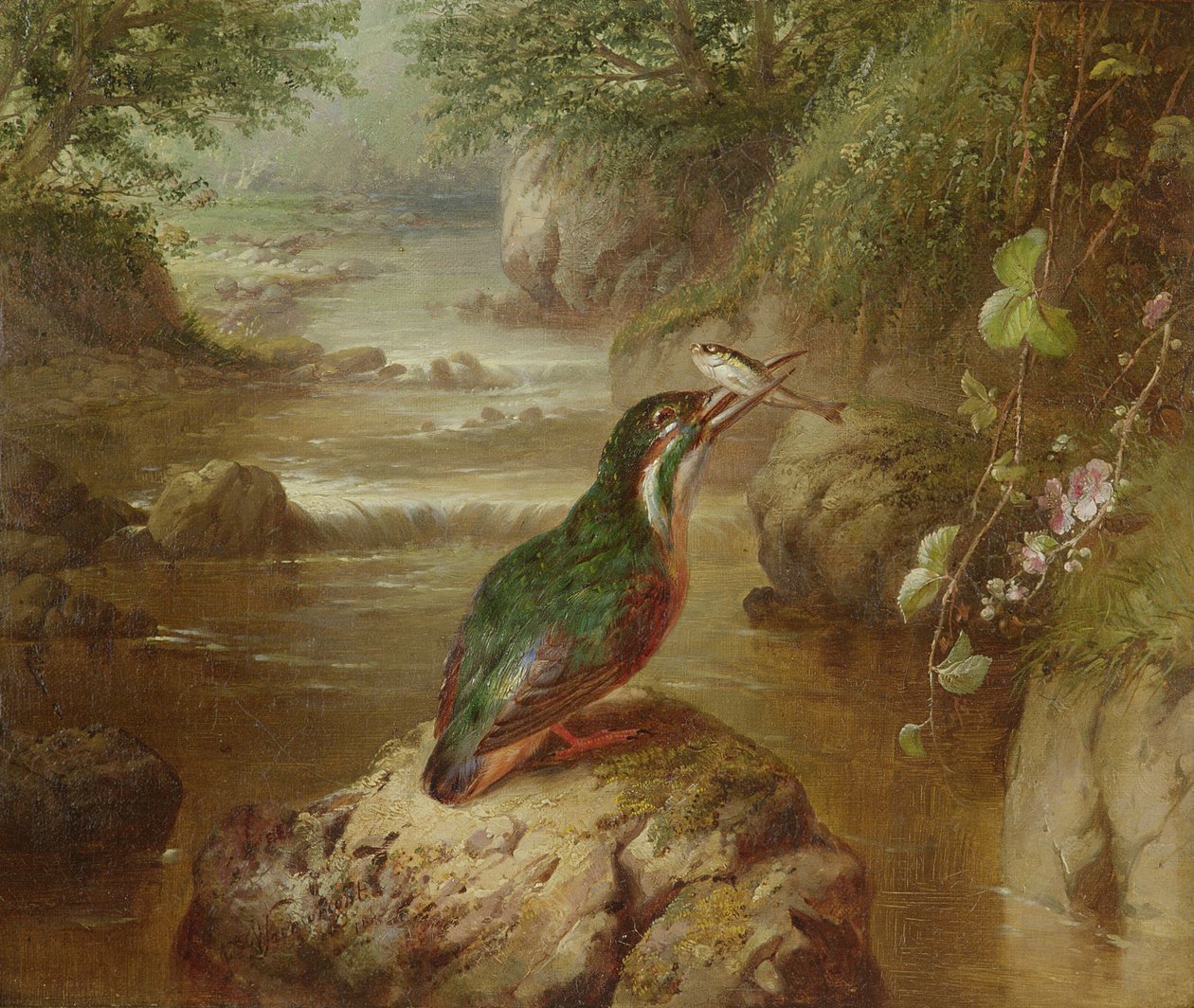 A jégmadár kísértete alkotó: John Wainwright