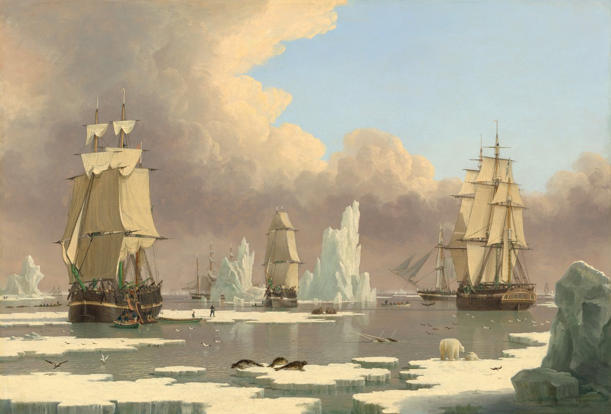 Az északi bálnahalászat: A "hattyú" és az "Izabella" alkotó: John Ward of Hull