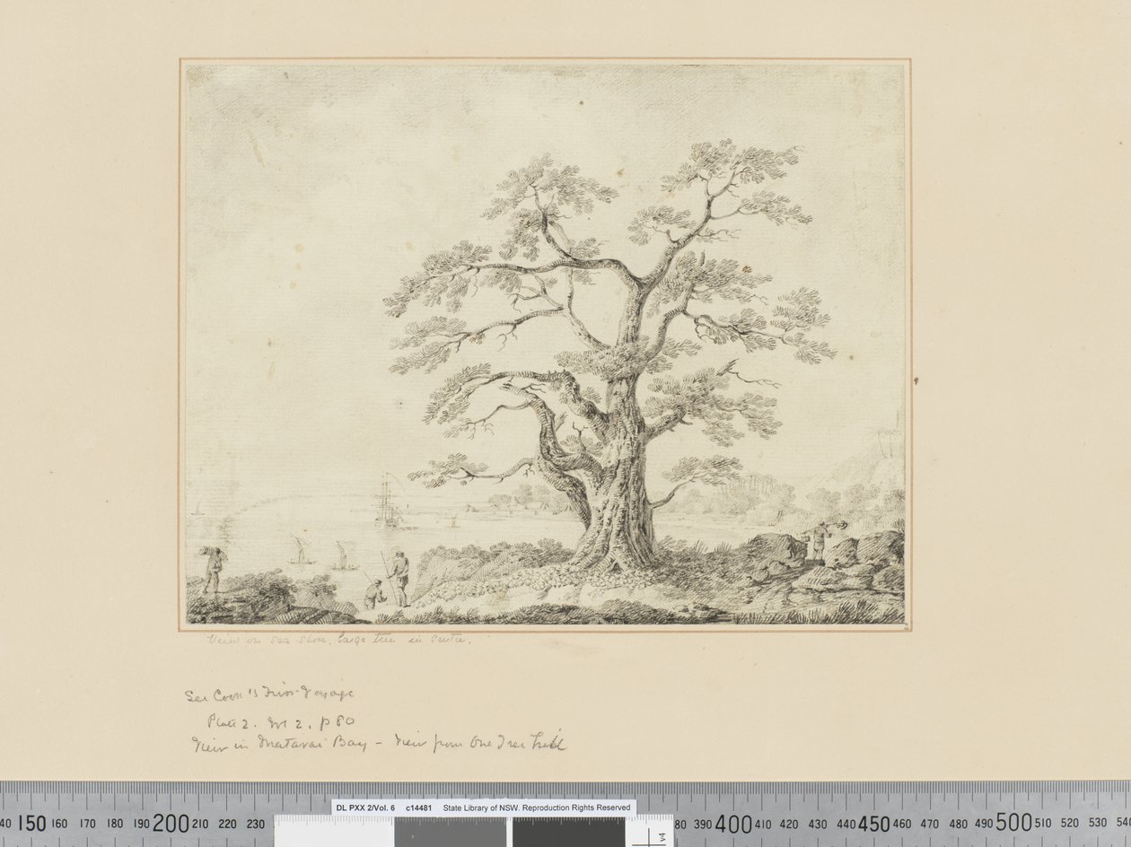 F.44 Kilátás a tenger partjára, nagy fa a közepén, 1783-84 körül alkotó: John Webber