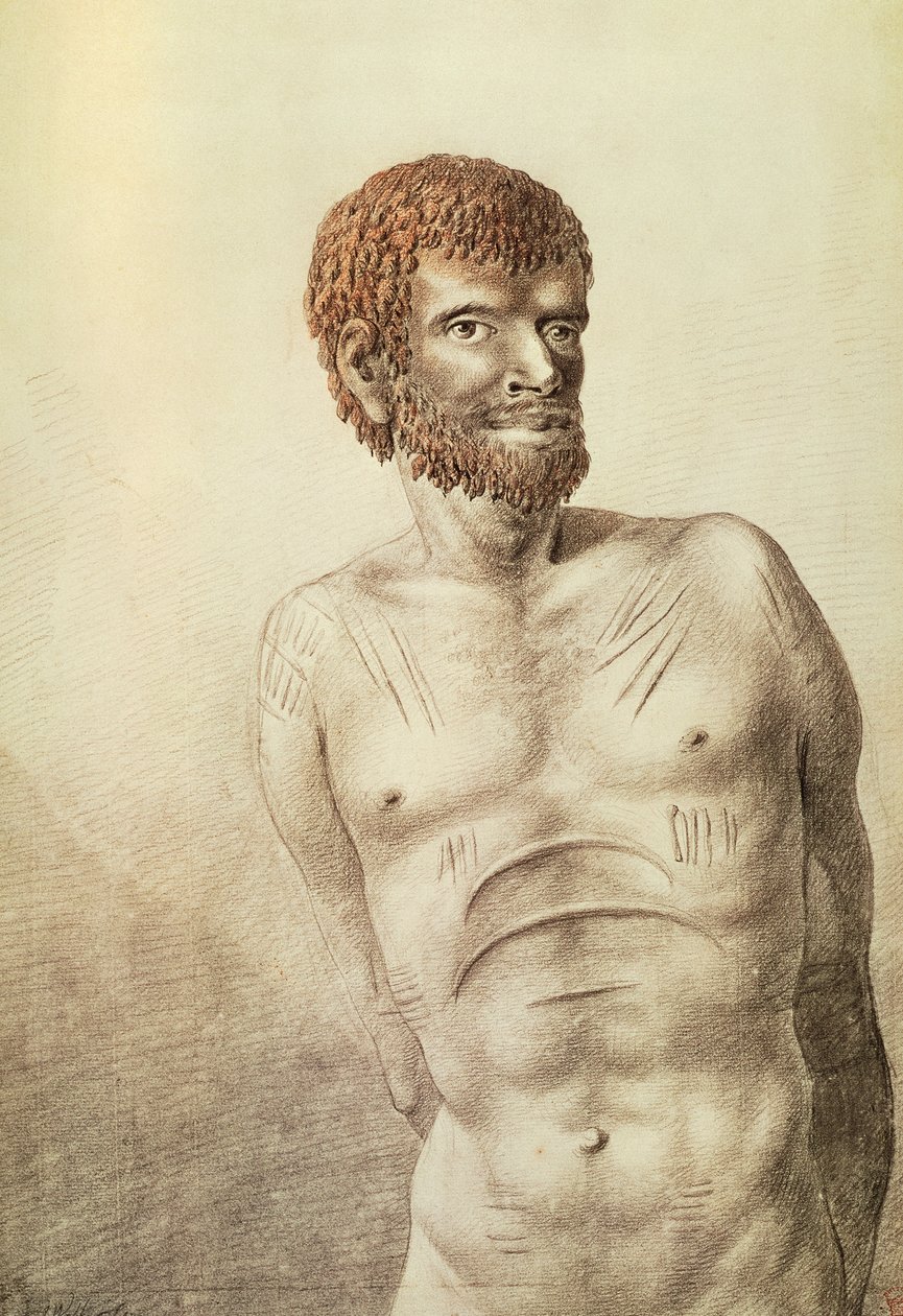 Van Diemen földjének szülőföldje, ma Tasmania, 1777. január, John Webber (1750-1793) rajza, Ausztrália alkotó: John Webber