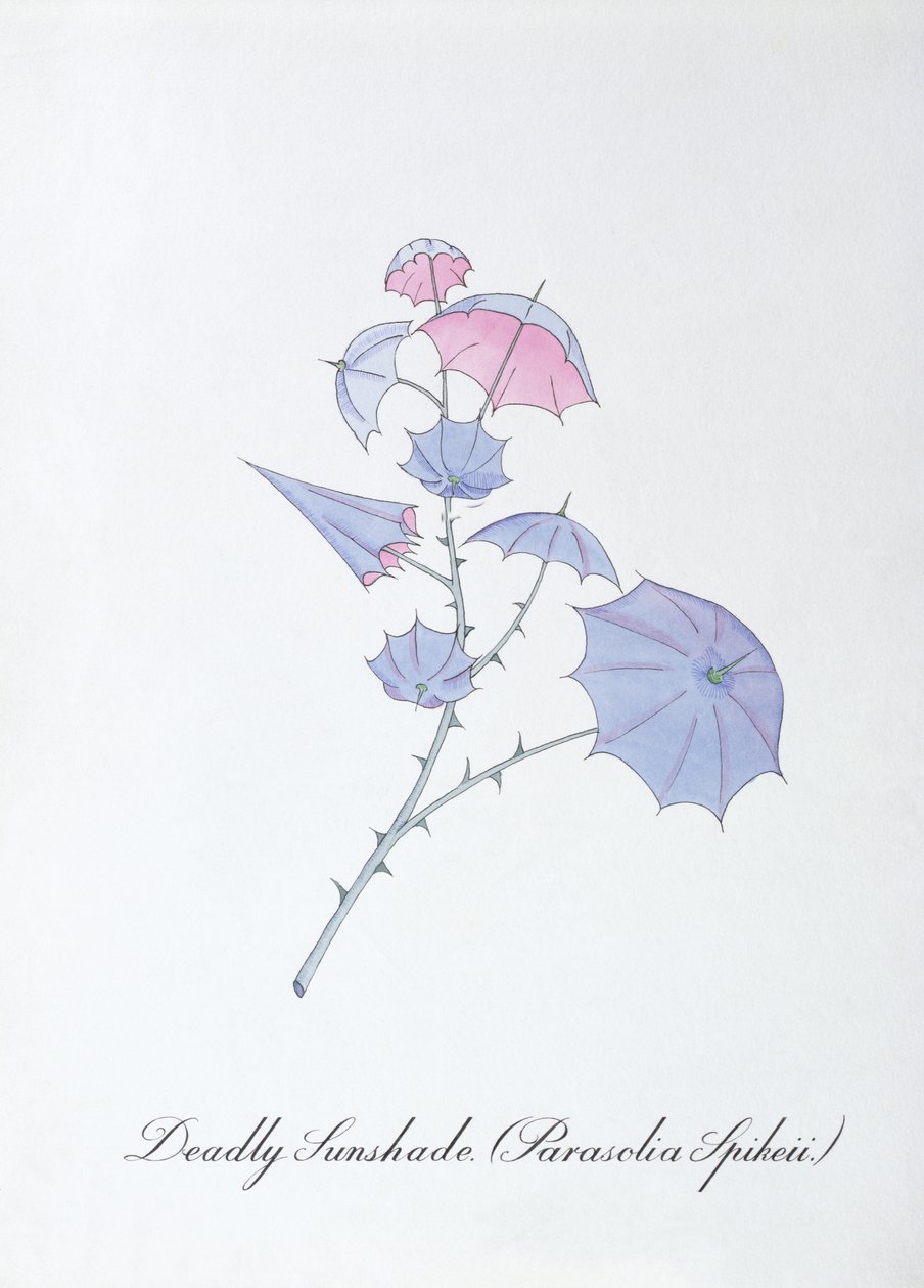 Halálos napernyő (Parasolia Spikeii.), illusztráció John Weir „A botanika hamis könyvéből” alkotó: John Weir