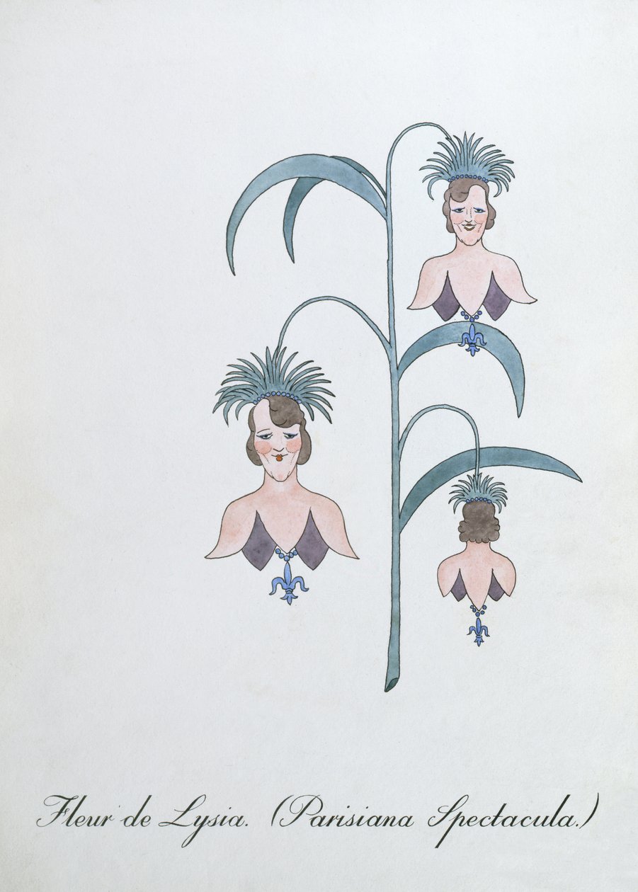 Fleur de Lysia (Parisiana Spectacula.), illusztráció John Weir „A botanika hamis könyvéből” alkotó: John Weir