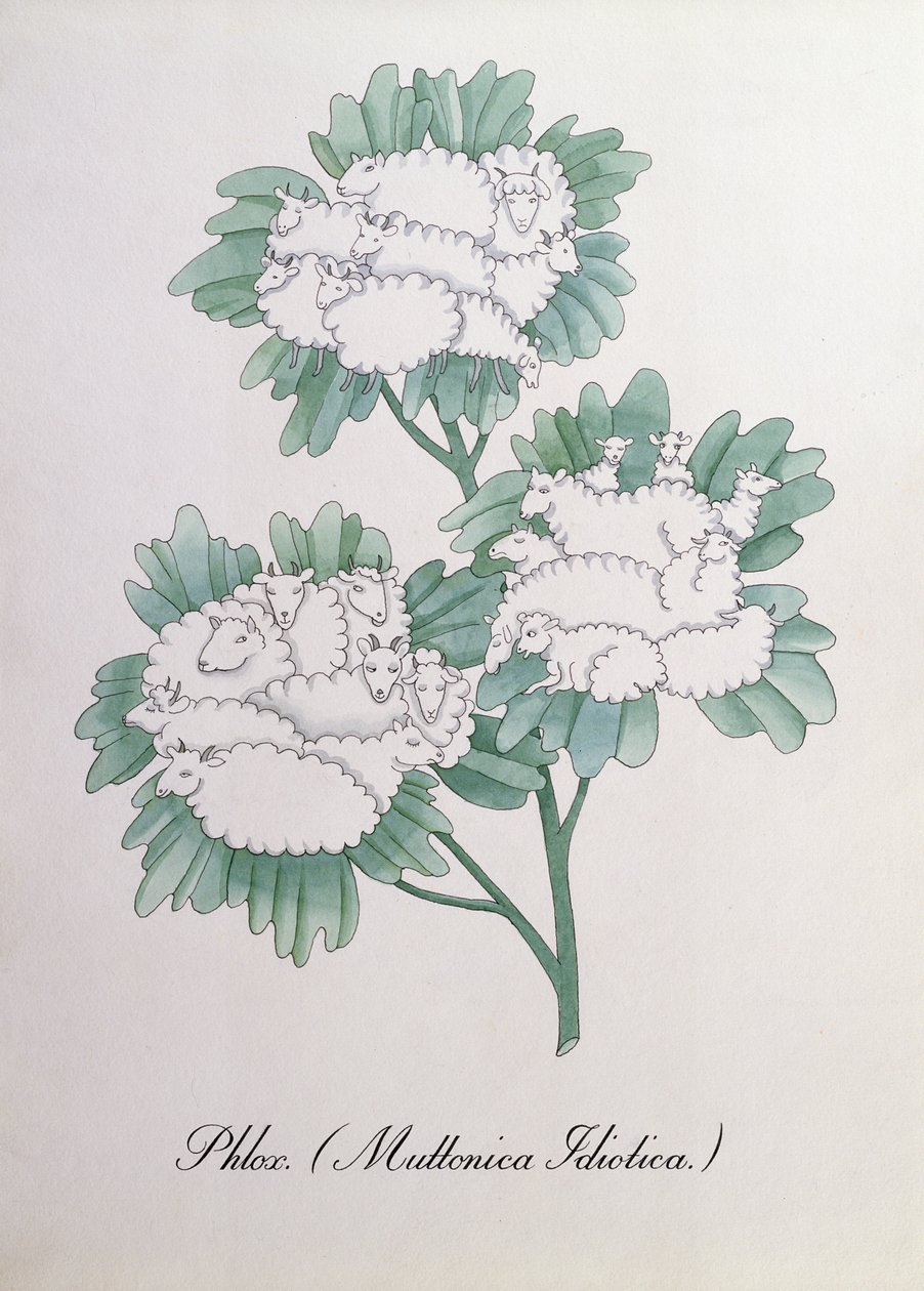 Lángvirág. (Muttonica Idiotica), illusztráció: John Weir „The Bogus Book of Botany” alkotó: John Weir