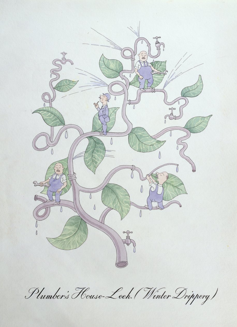 Vízvezeték-szerelő póréhagyma (Water Drippery), illusztráció John Weir „A botanika hamis könyvéből” alkotó: John Weir