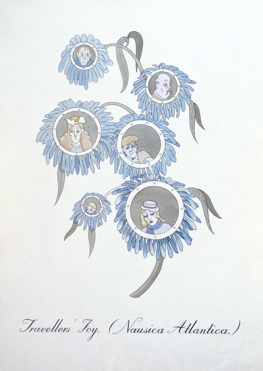 Utazók öröme (Nausica Atlantica.), illusztráció a Botanika hamis könyvéből, John Weir alkotó: John Weir