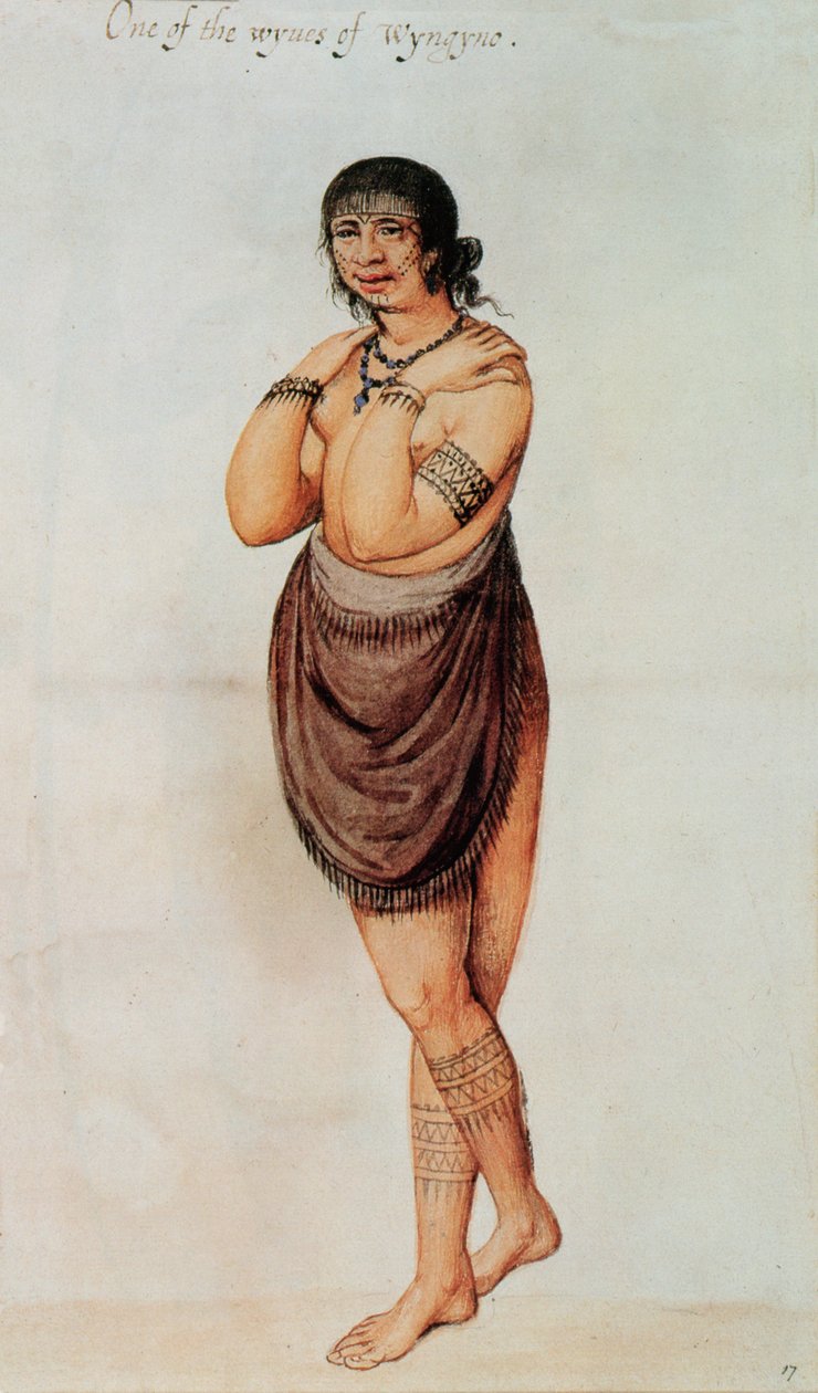 indiai nő (színes litó) alkotó: John White