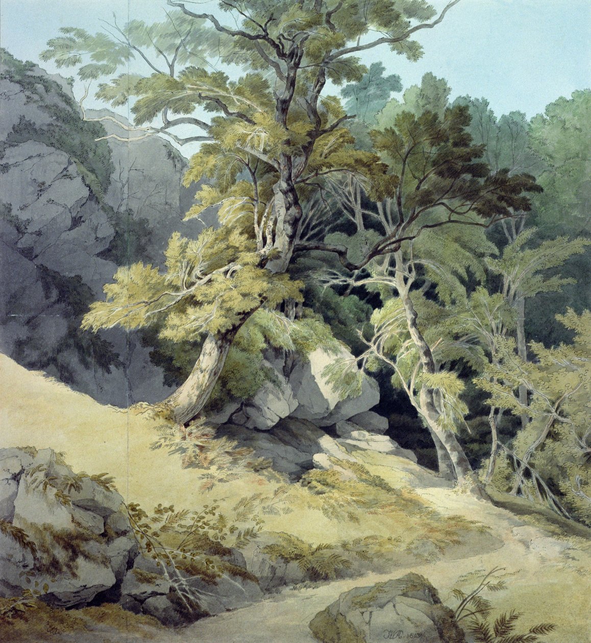 Canonteign, Devon alkotó: John White Abbott