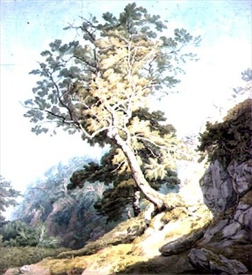 Kilátás Canonteign közelében, Devonban alkotó: John White Abbott