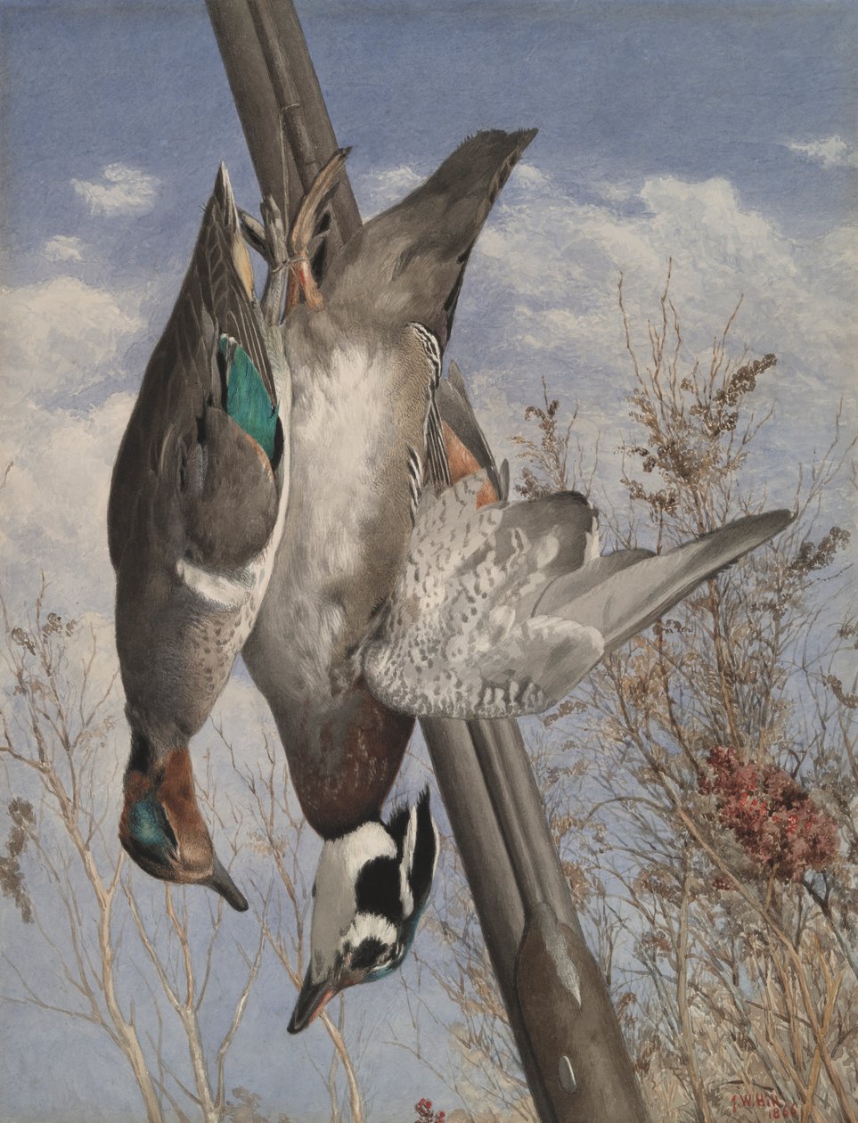 Hanging Game Birds alkotó: John William Hill