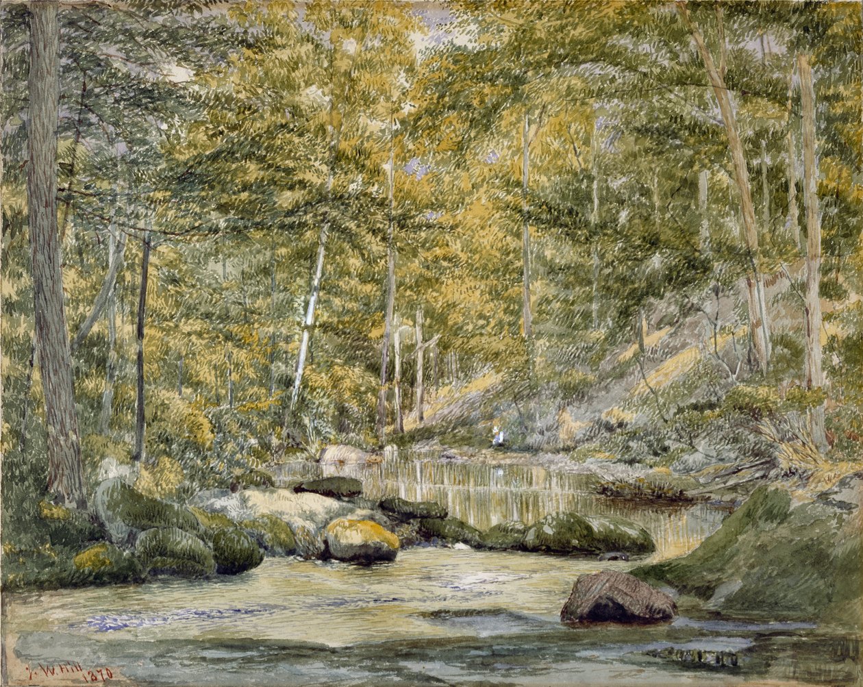 Erdei medence férfi horgászattal, 1870 (wc papíron) alkotó: John William Hill