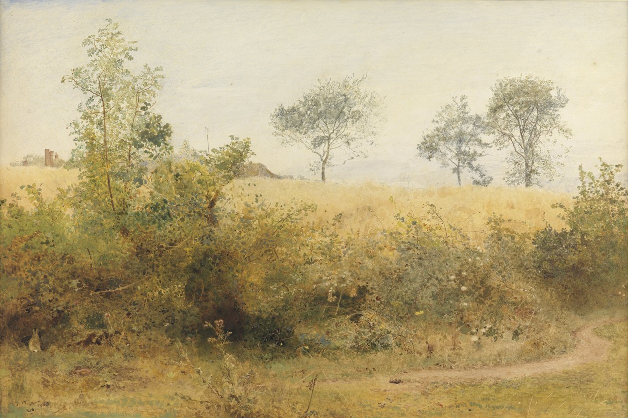 A denevér szédítő szárnysal kezdődik – Árpatábla a sövény fölött, 1885 (wc és ceruza kikarcolással a papíron) alkotó: John William North