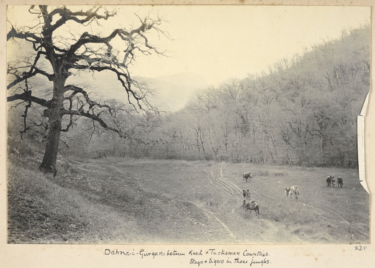 Razavi Khorasan tartomány, Irán, 1908 körül (f/w fotó) alkotó: John Williams Watson