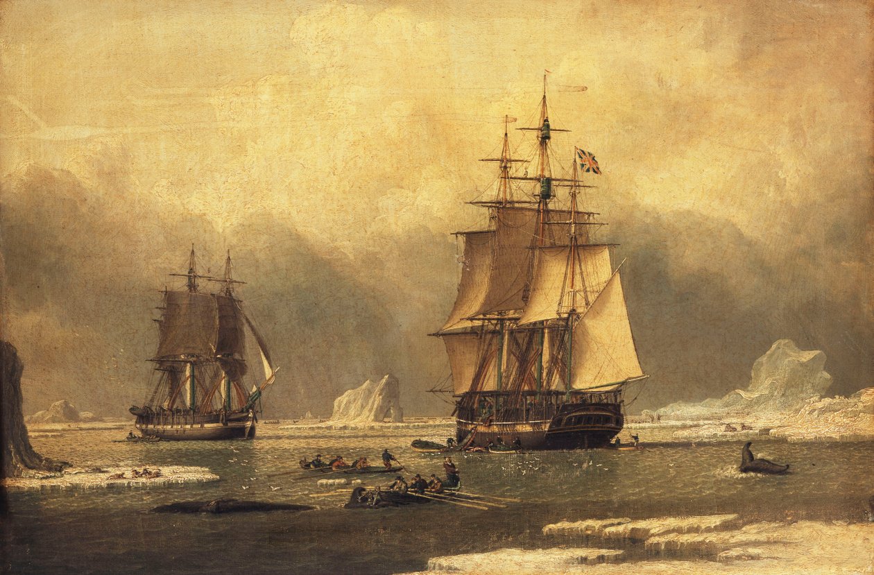 "Hattyú" és "Izabella" bálnavadászat az Északi-sarkvidéken, alkotó: John of Hull Ward