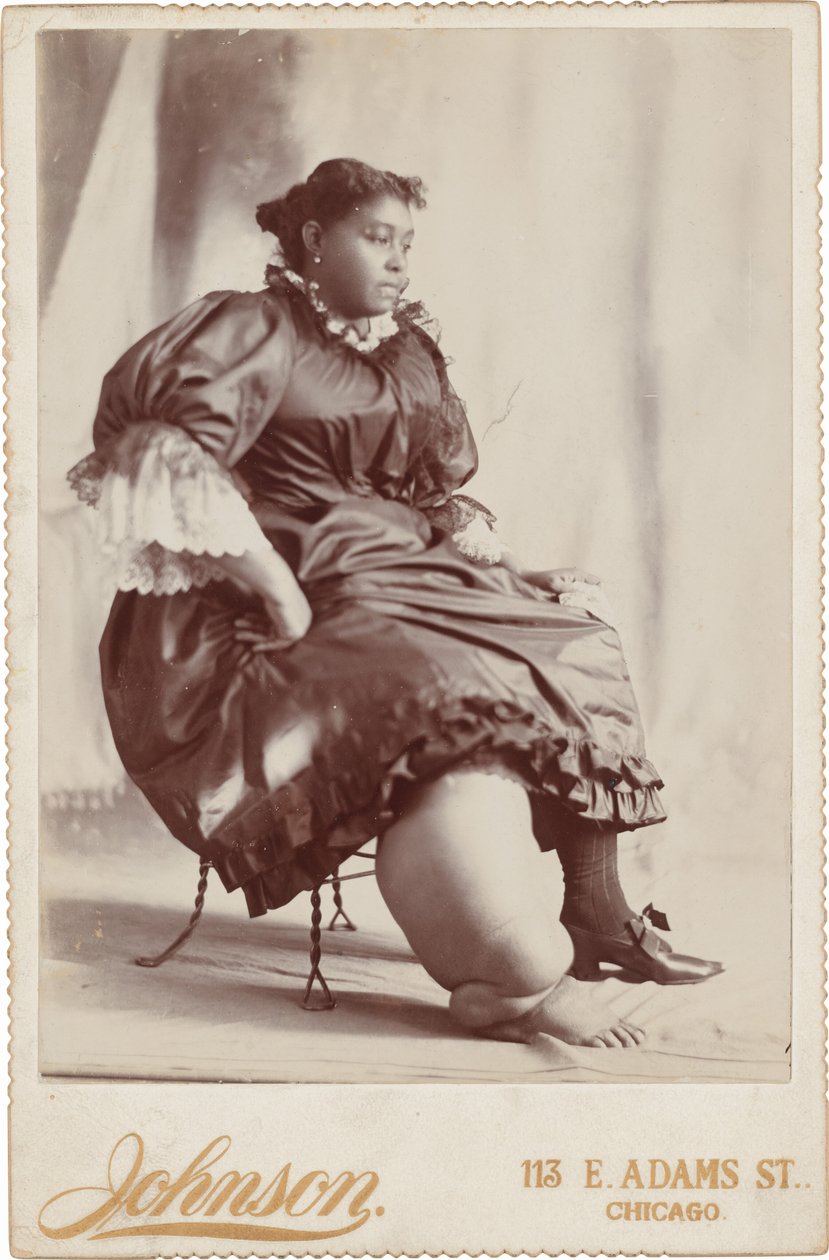 Egy nő portréja,c. 1890 (fotó) alkotó: Johnson