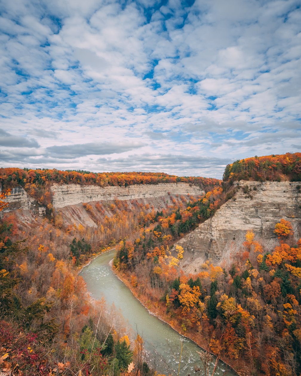 Őszi színek a szurdokban a Letchworth State Parkban, New Yorkban, USA (fotó) alkotó: Jon Bilous