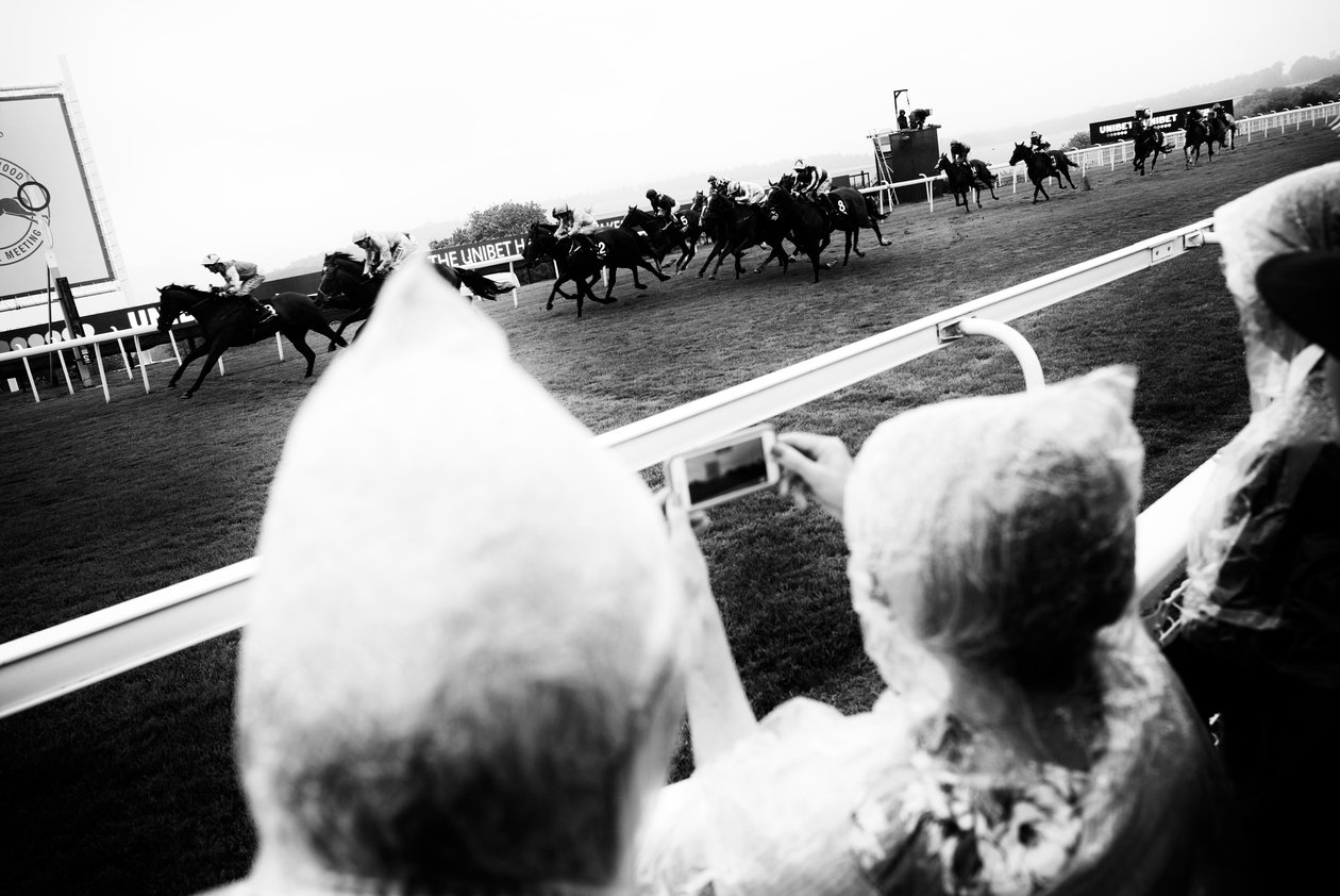 The Goodwood Estate, West Sussex, Egyesült Királyság, 2019 (fotó) alkotó: Jon Nicholson