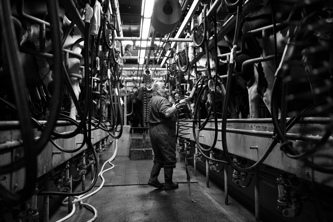 The Goodwood Estate, West Sussex, Egyesült Királyság, 2019 (fotó) alkotó: Jon Nicholson