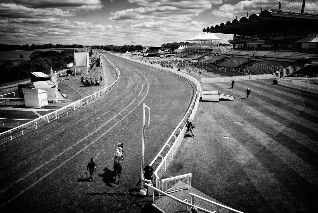 The Goodwood Estate, West Sussex, Egyesült Királyság, 2020 (fotó) alkotó: Jon Nicholson