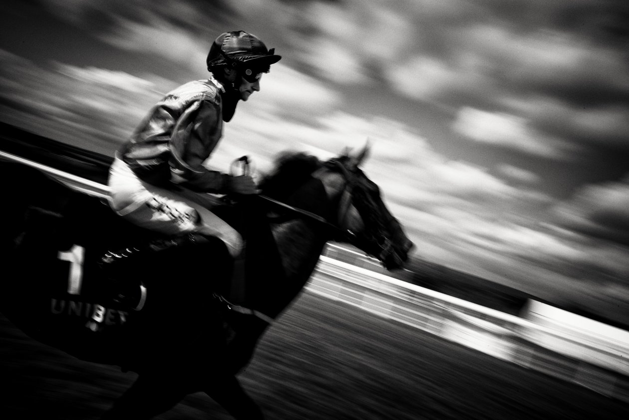 The Goodwood Estate, West Sussex, Egyesült Királyság, 2020 (fotó) alkotó: Jon Nicholson
