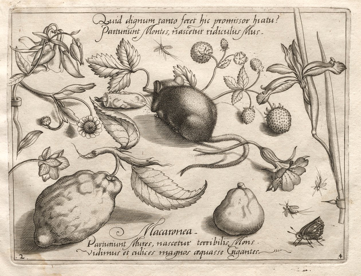 Archetípusok és tanulmányok: Mi derülhet ki egy ilyen barlangszerű ígéretnek megfelelően, 1592. alkotó: Joris Hoefnagel