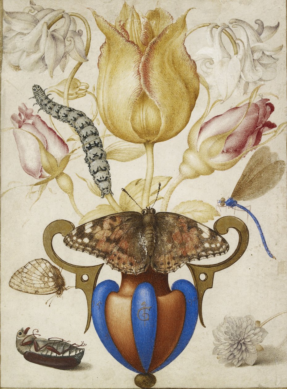 Virágelrendezés vázában, rovarokkal, 1594 (Akvarell arannyal, pergamen) alkotó: Joris Hoefnagel