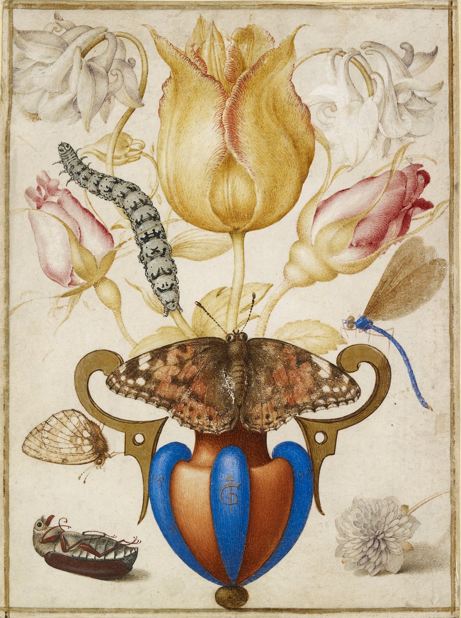 Virágelrendezés vázában, rovarokkal, 1594 alkotó: Joris Hoefnagel
