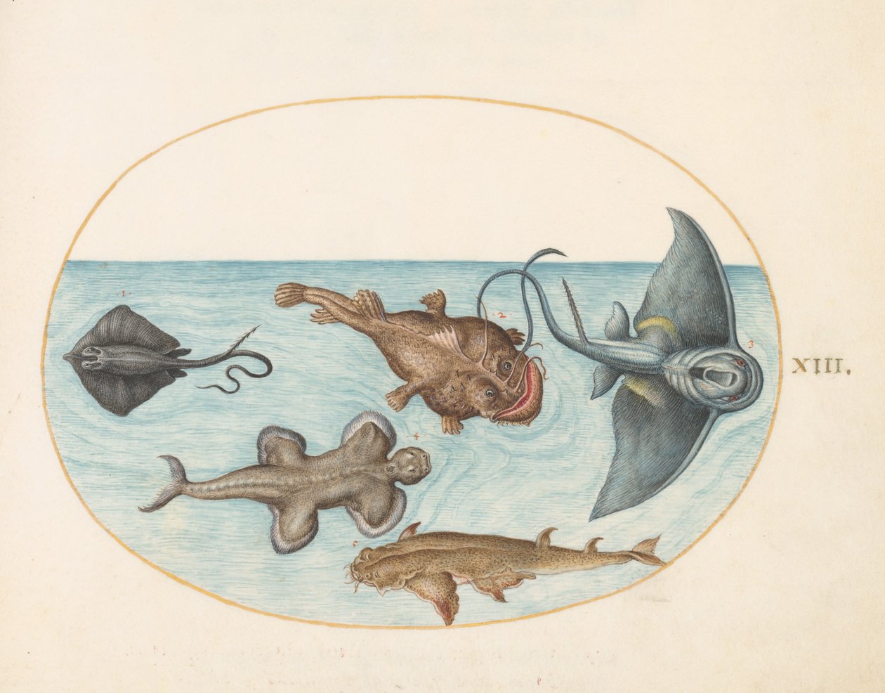 Hal, 1575-80 körül alkotó: Joris Hoefnagel