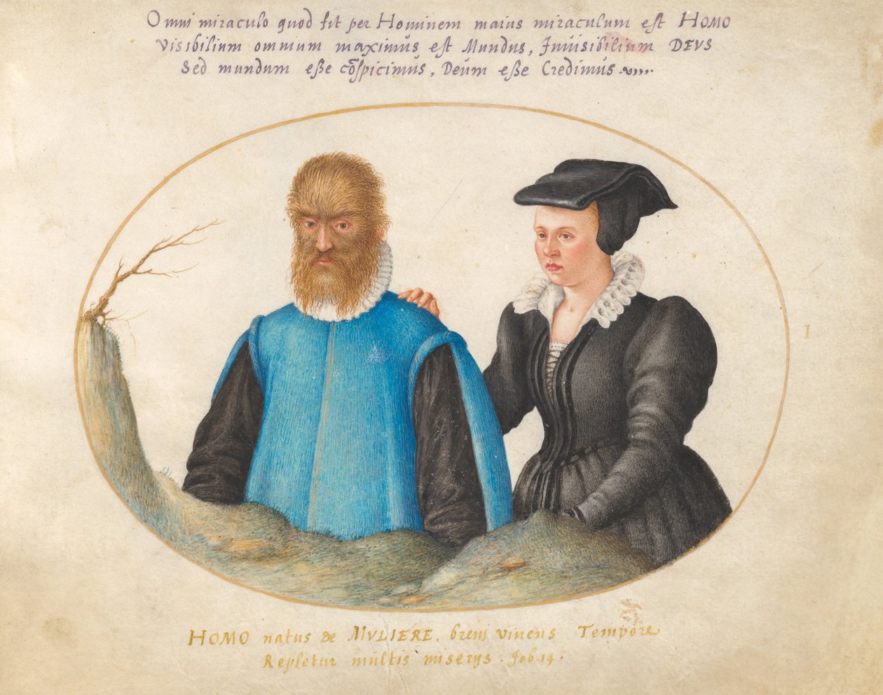 1. táblakép: Pedro González (Petrus Gonsalvus) és felesége, Catherine alkotó: Joris Hoefnagel
