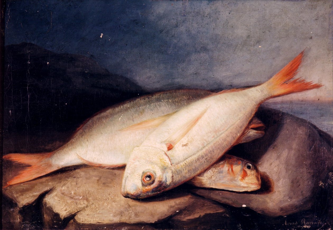 Spanyol: Bodegón de peces alkotó: José Arias Ramírez
