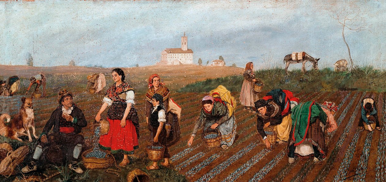 "" A sáfránygyűjtés "" Részlet. Jose Albinana Bru festménye (XIX. század). 1877. Valencia. Szépművészeti Múzeum San Pio V. alkotó: Jose Bru Albinana