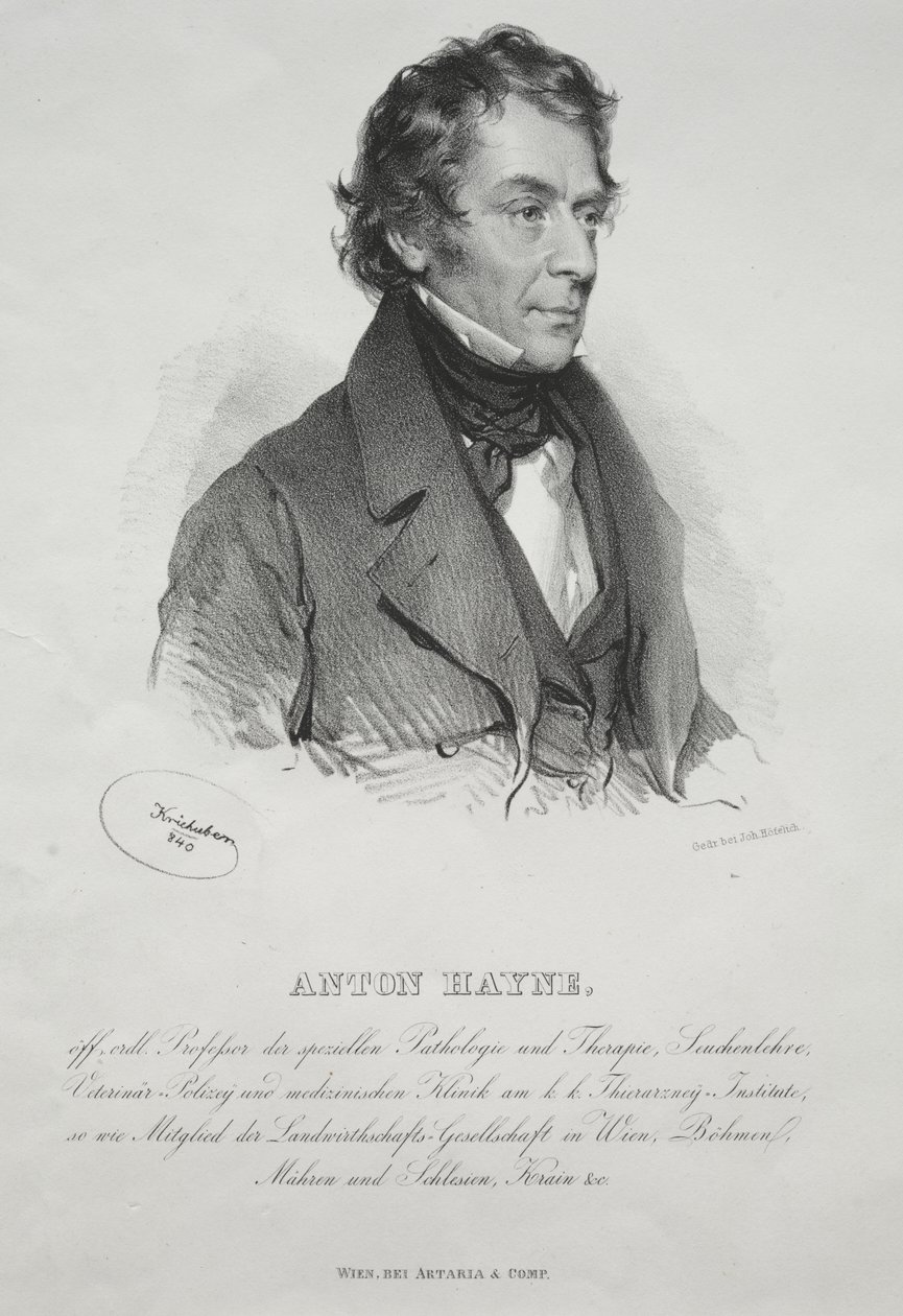 Dr. Anton Hayne portréja alkotó: Josef Kriehuber