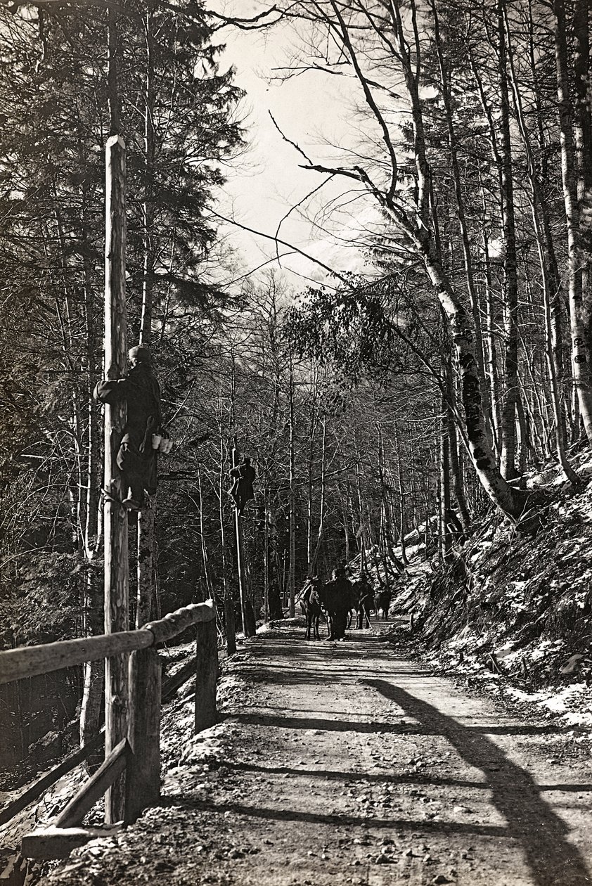 Album "Az én világháborúm – emlékek a délnyugati frontról Karintiában, Olaszországban, Trentino-Alto Adige" 1915.03.31-1918.12.11 - Josef Zohles Bécs ": katonák munkába (f/w fotó alkotó: Josef Zohles