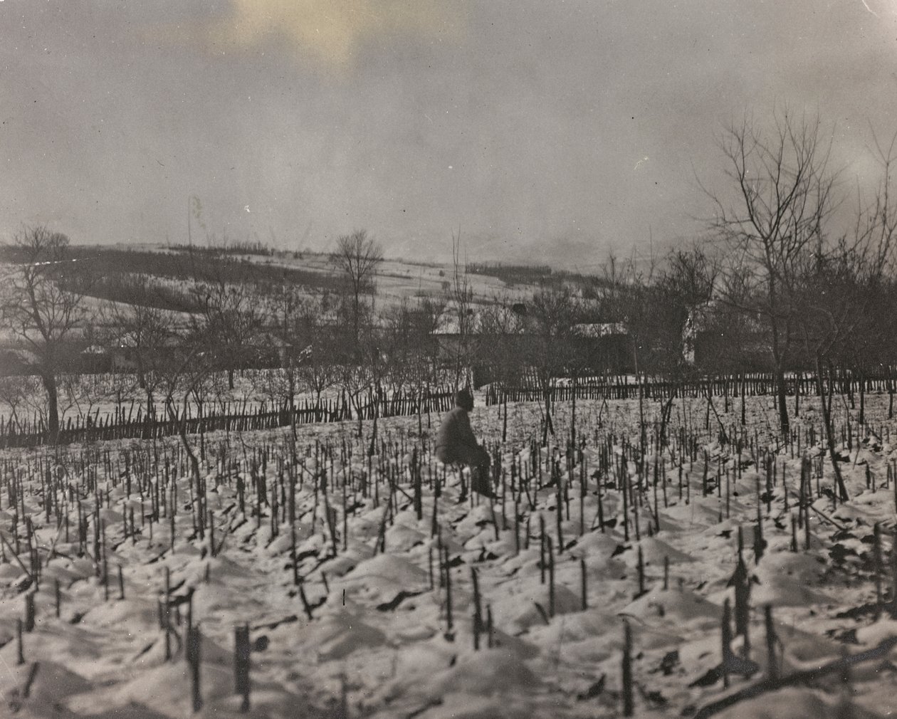 Album "Az én világháborúm – emlékek a délnyugati frontról Karintiában, Olaszországban, Trentino-Alto Adige" 1915.03.31-1918.12.11 - Josef Zohles Bécs ": katonai temető (f/w fotó alkotó: Josef Zohles
