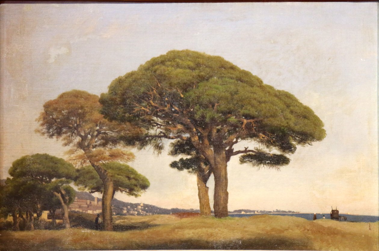A Bocca fenyői alkotó: Joseph Contini